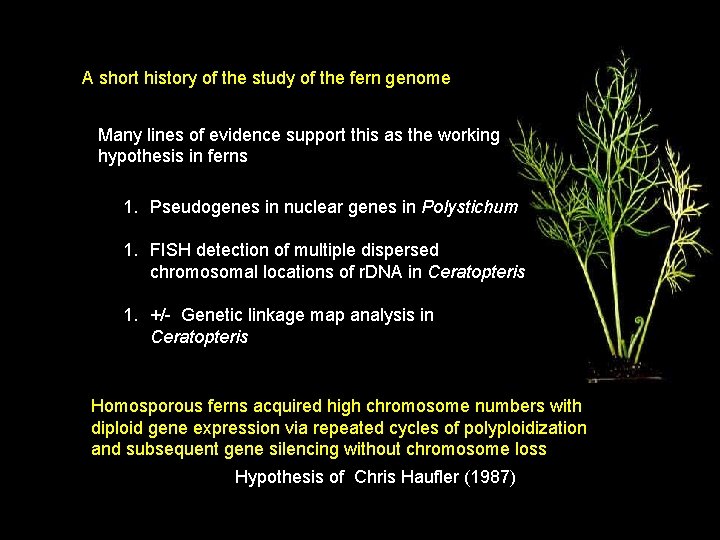 A short history of the study of the fern genome Many lines of evidence