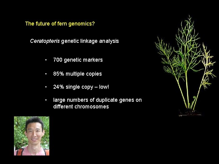 The future of fern genomics? Ceratopteris genetic linkage analysis • 700 genetic markers •