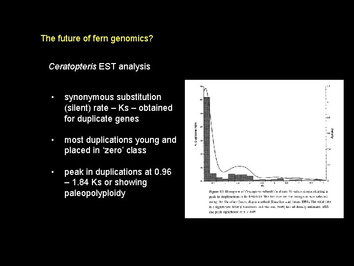 The future of fern genomics? Ceratopteris EST analysis • synonymous substitution (silent) rate –
