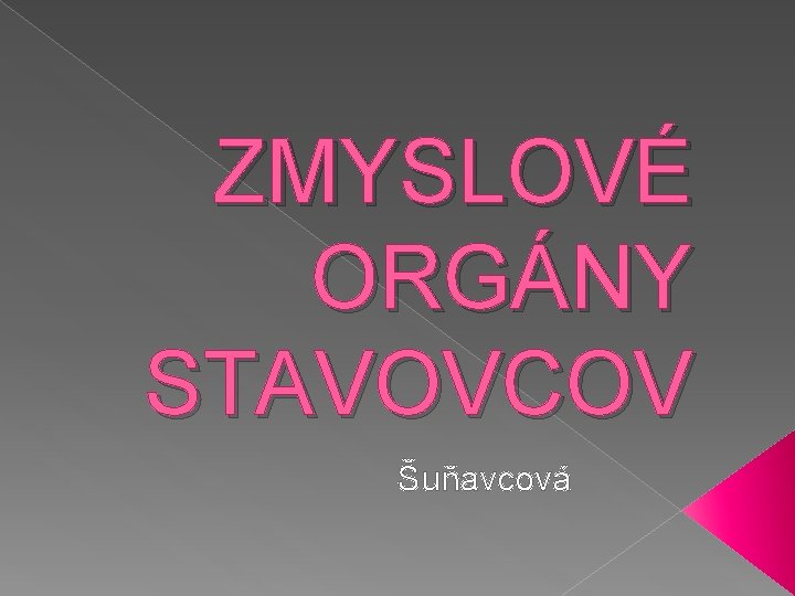 ZMYSLOVÉ ORGÁNY STAVOVCOV Šuňavcová 