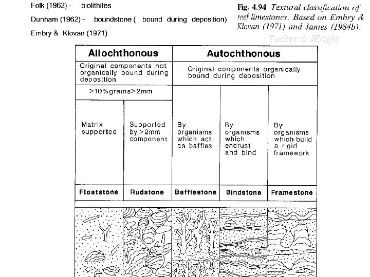 Tucker & Wright Tucker & Wright