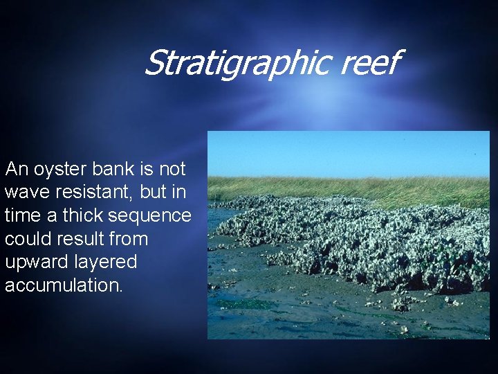 Stratigraphic reef An oyster bank is not wave resistant, but in time a thick Stratigraphic reef An oyster bank is not wave resistant, but in time a thick