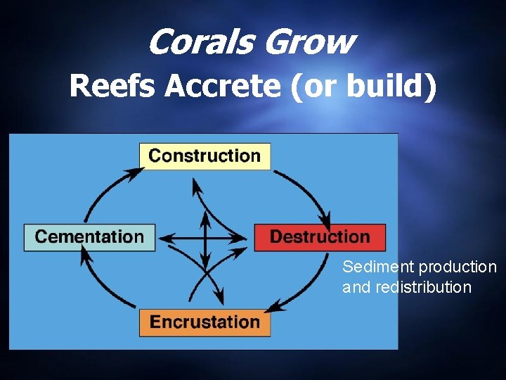 Corals Grow Reefs Accrete (or build) Sediment production and redistribution Corals Grow Reefs Accrete (or build) Sediment production and redistribution