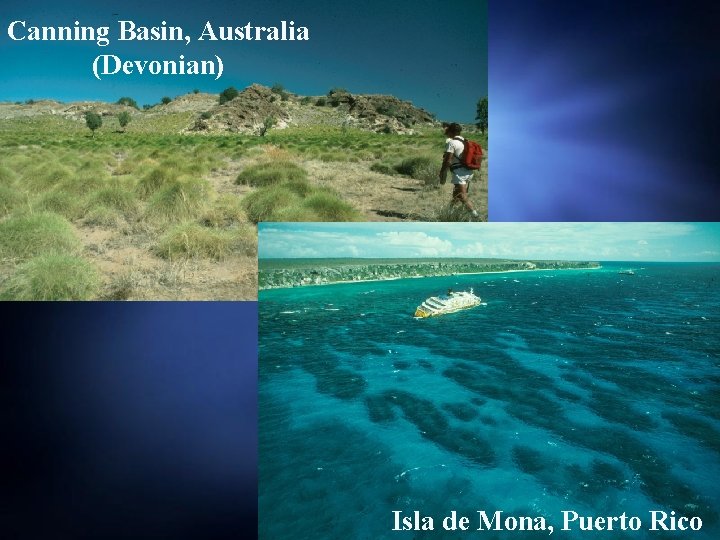 Canning Basin, Australia (Devonian) Isla de Mona, Puerto Rico Canning Basin, Australia (Devonian) Isla de Mona, Puerto Rico