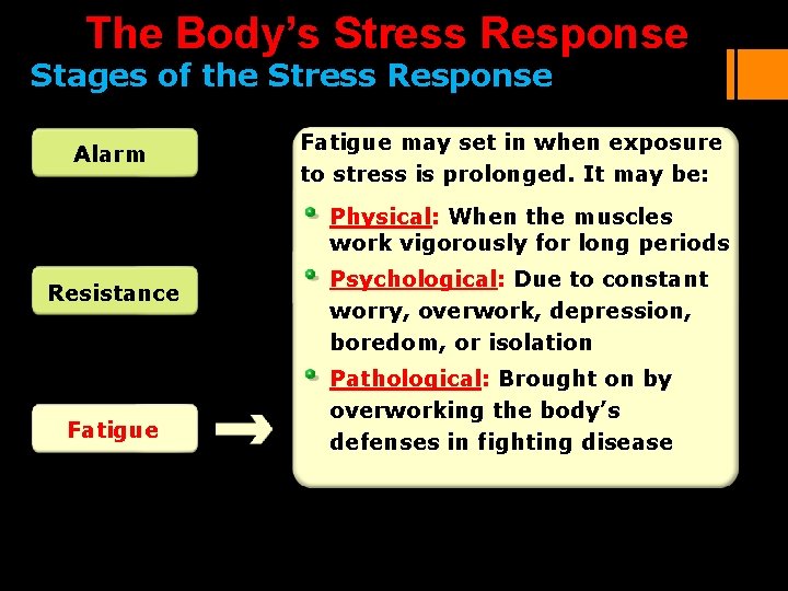 The Body’s Stress Response Stages of the Stress Response Alarm Fatigue may set in The Body’s Stress Response Stages of the Stress Response Alarm Fatigue may set in