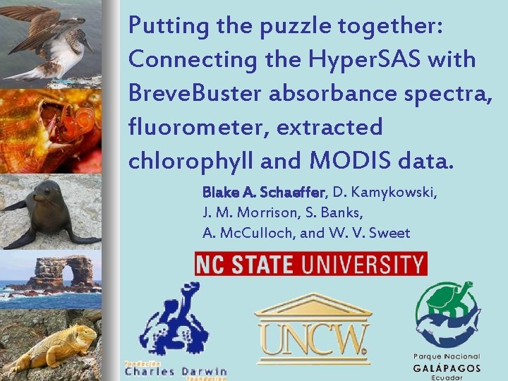 Putting the puzzle together: Connecting the Hyper. SAS with Breve. Buster absorbance spectra, fluorometer,