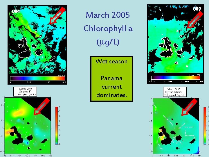 084 March 2005 Chlorophyll a (mg/L) Wet season Panama current dominates. 089 