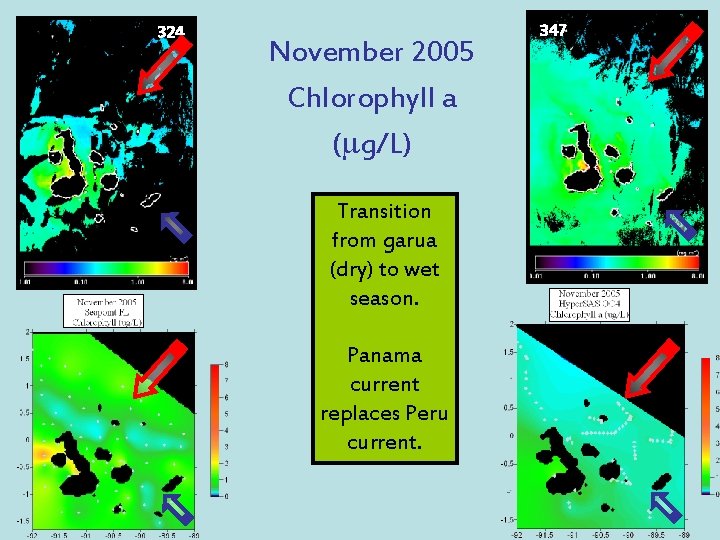 324 November 2005 Chlorophyll a (mg/L) Transition from garua (dry) to wet season. Panama