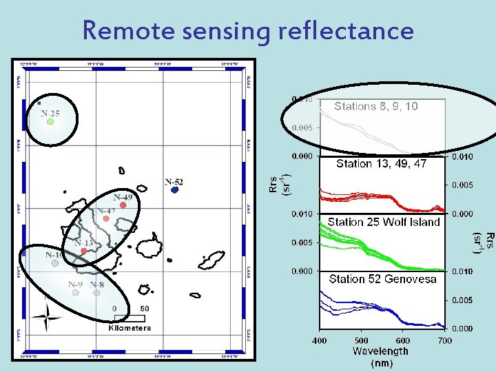 Remote sensing reflectance 