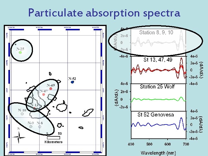 Particulate absorption spectra 