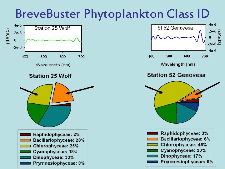 Breve. Buster Phytoplankton Class ID 