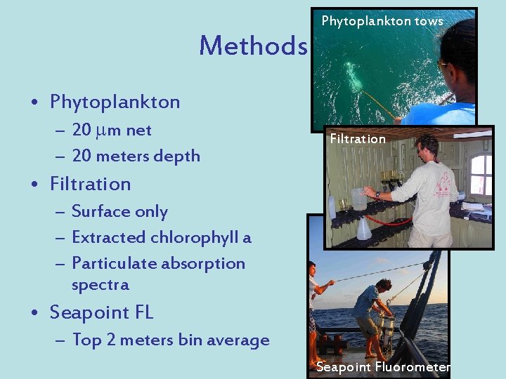 Methods Phytoplankton tows • Phytoplankton – 20 mm net – 20 meters depth Filtration