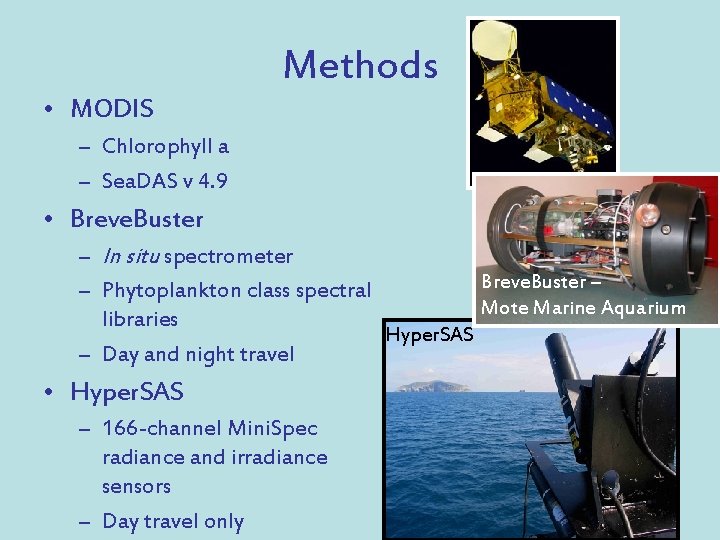 Methods • MODIS – Chlorophyll a – Sea. DAS v 4. 9 • Breve.