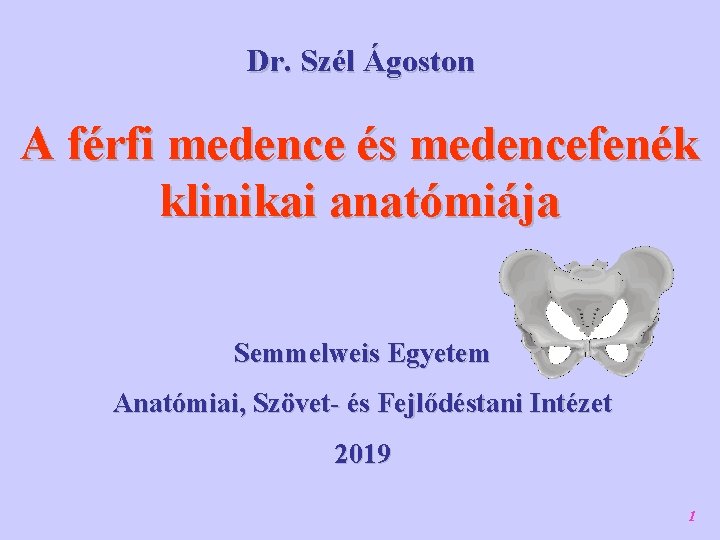 Dr. Szél Ágoston A férfi medence és medencefenék klinikai anatómiája Semmelweis Egyetem Anatómiai, Szövet-