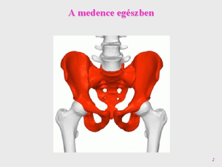 A medence egészben 2 