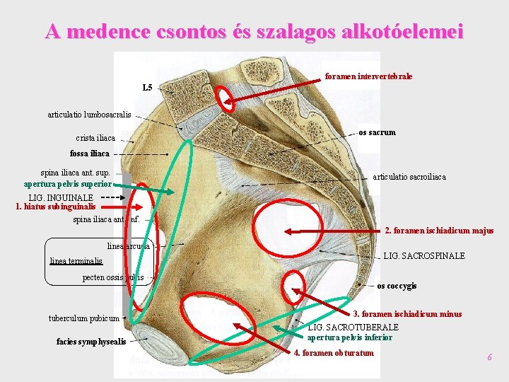 acute prostatitis