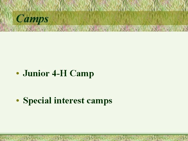 Camps • Junior 4 -H Camp • Special interest camps 