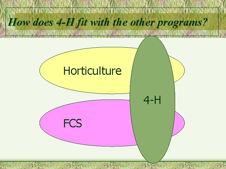 How does 4 -H fit with the other programs? Horticulture 4 -H FCS 