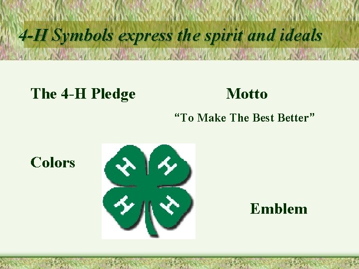 4 -H Symbols express the spirit and ideals The 4 -H Pledge Motto “To