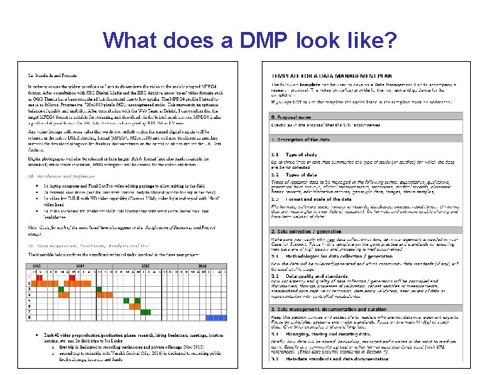 What does a DMP look like? 