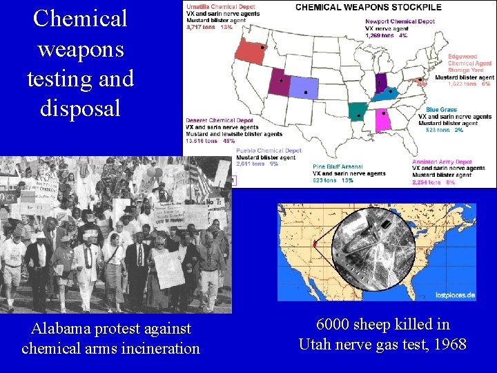 Chemical weapons testing and disposal Alabama protest against chemical arms incineration 6000 sheep killed