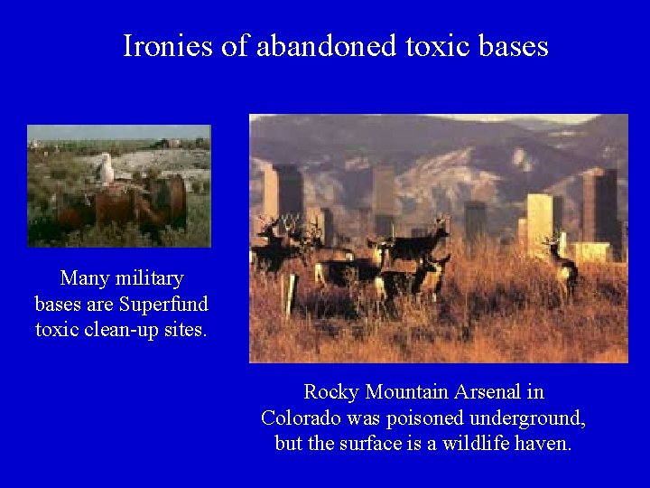 Ironies of abandoned toxic bases Many military bases are Superfund toxic clean-up sites. Rocky
