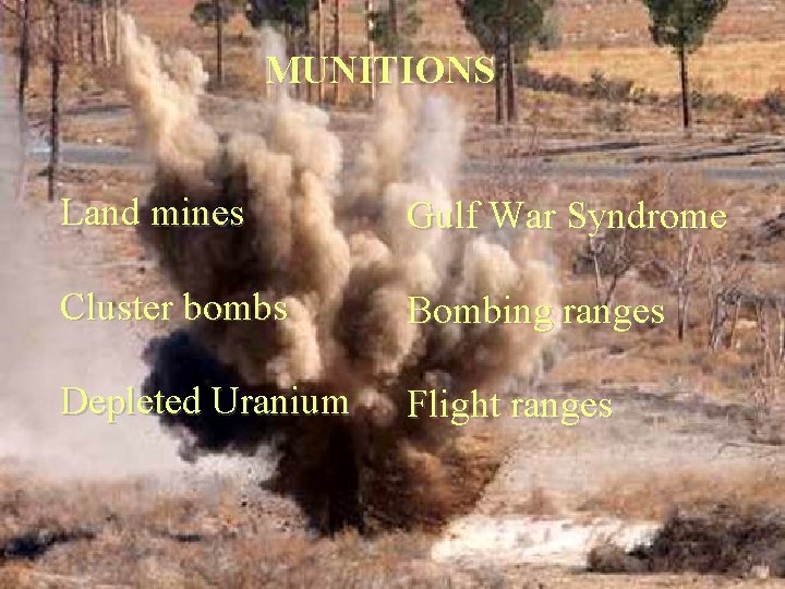 MUNITIONS Land mines Gulf War Syndrome Cluster bombs Bombing ranges Depleted Uranium Flight ranges
