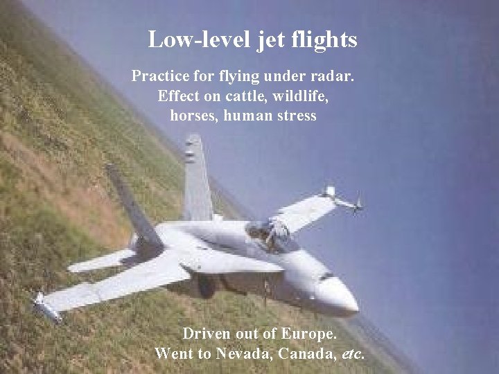 Low-level jet flights Practice for flying under radar. Effect on cattle, wildlife, horses, human