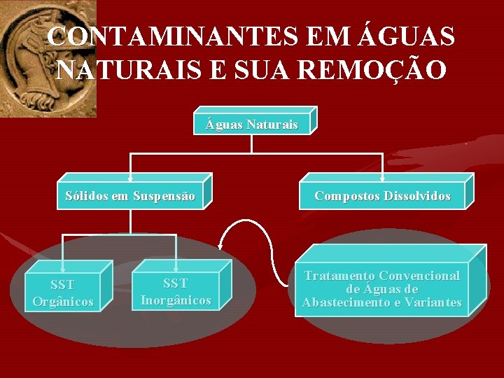 CONTAMINANTES EM ÁGUAS NATURAIS E SUA REMOÇÃO Águas Naturais Sólidos em Suspensão SST Orgânicos