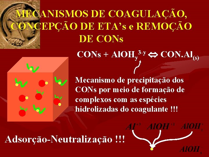 MECANISMOS DE COAGULAÇÃO, CONCEPÇÃO DE ETA’s e REMOÇÃO DE CONs + Al. OHy 3