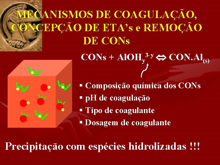 MECANISMOS DE COAGULAÇÃO, CONCEPÇÃO DE ETA’s e REMOÇÃO DE CONs + Al. OHy 3