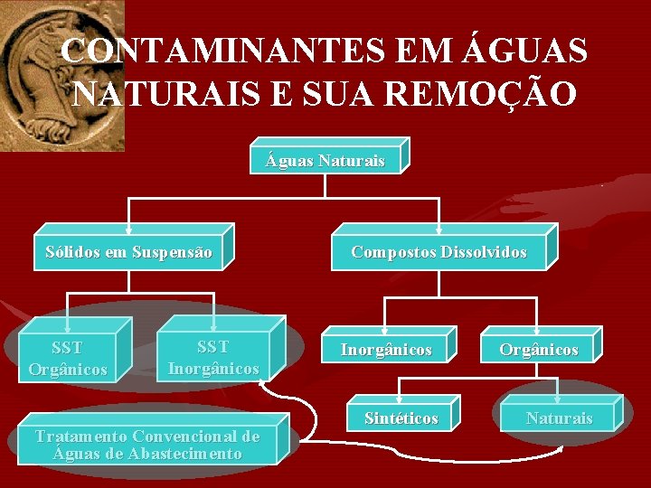 CONTAMINANTES EM ÁGUAS NATURAIS E SUA REMOÇÃO Águas Naturais Sólidos em Suspensão SST Orgânicos