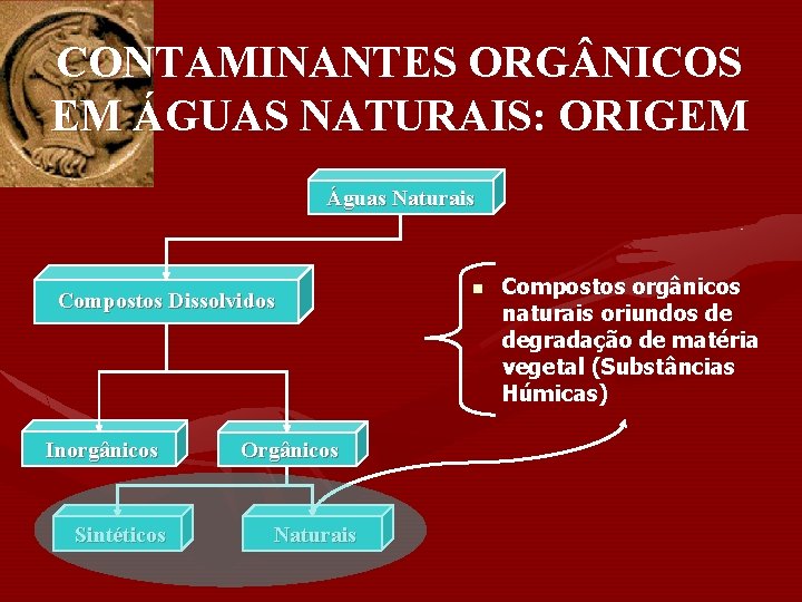 CONTAMINANTES ORG NICOS EM ÁGUAS NATURAIS: ORIGEM Águas Naturais Compostos Dissolvidos Inorgânicos Sintéticos Orgânicos