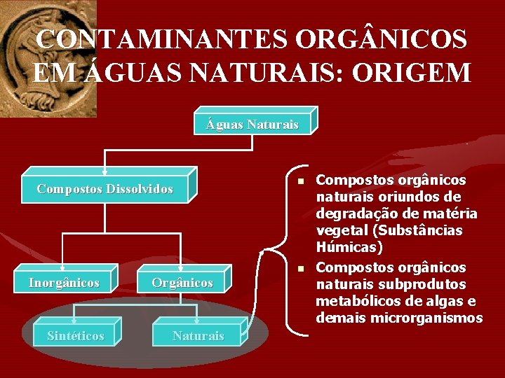 CONTAMINANTES ORG NICOS EM ÁGUAS NATURAIS: ORIGEM Águas Naturais Compostos Dissolvidos Inorgânicos Sintéticos Orgânicos