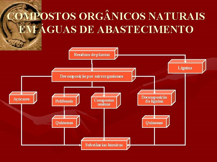 COMPOSTOS ORG NICOS NATURAIS EM ÁGUAS DE ABASTECIMENTO Resíduos de plantas Lignina Decomposição por