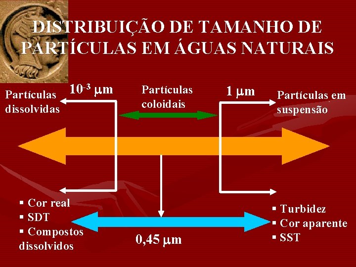 DISTRIBUIÇÃO DE TAMANHO DE PARTÍCULAS EM ÁGUAS NATURAIS -3 m 10 Partículas dissolvidas §