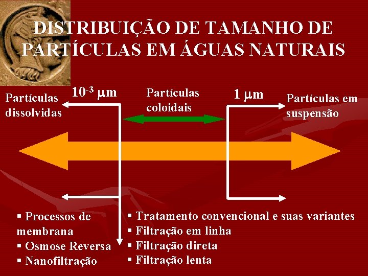 DISTRIBUIÇÃO DE TAMANHO DE PARTÍCULAS EM ÁGUAS NATURAIS -3 m 10 Partículas dissolvidas §