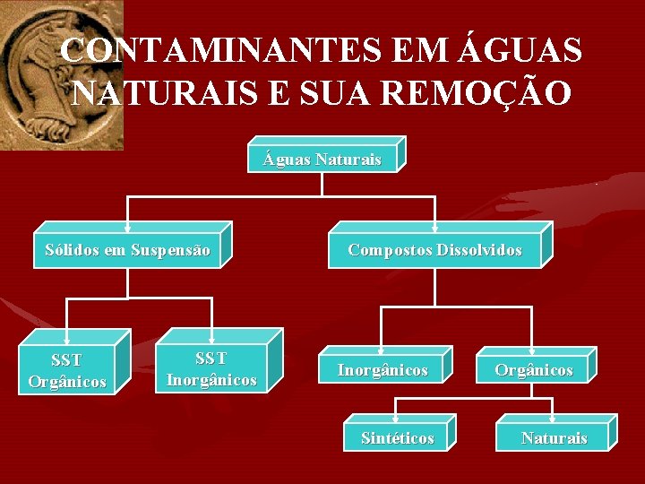 CONTAMINANTES EM ÁGUAS NATURAIS E SUA REMOÇÃO Águas Naturais Sólidos em Suspensão SST Orgânicos