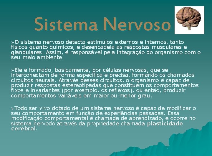 Sistema Nervoso ØO sistema nervoso detecta estímulos externos e internos, tanto físicos quanto químicos,