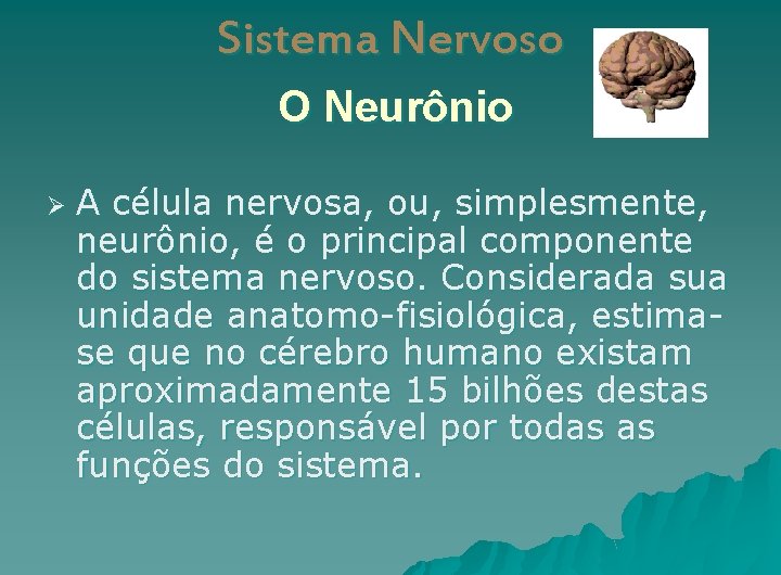 Sistema Nervoso O Neurônio Ø A célula nervosa, ou, simplesmente, neurônio, é o principal