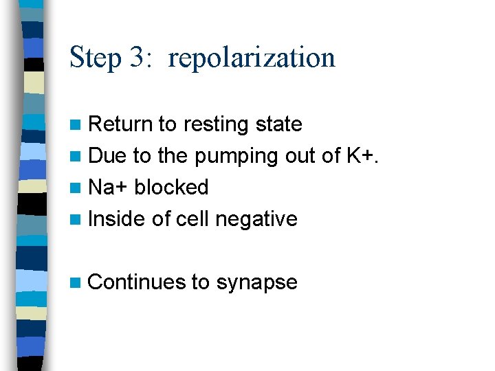 Step 3: repolarization n Return to resting state n Due to the pumping out