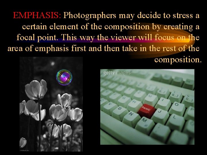EMPHASIS: Photographers may decide to stress a certain element of the composition by creating