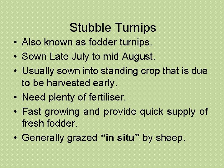Stubble Turnips • Also known as fodder turnips. • Sown Late July to Stubble Turnips • Also known as fodder turnips. • Sown Late July to