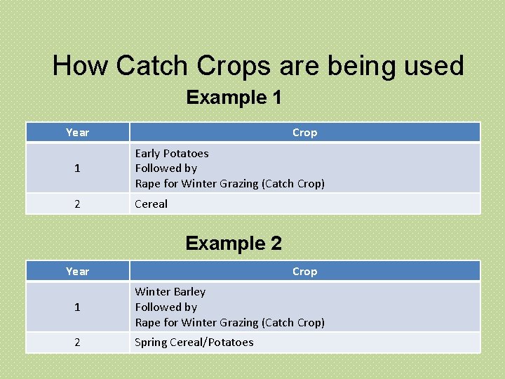 How Catch Crops are being used Example 1 Year Crop 1 Early Potatoes How Catch Crops are being used Example 1 Year Crop 1 Early Potatoes