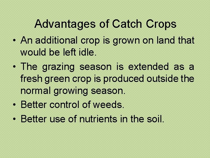 Advantages of Catch Crops • An additional crop is grown on land that would Advantages of Catch Crops • An additional crop is grown on land that would