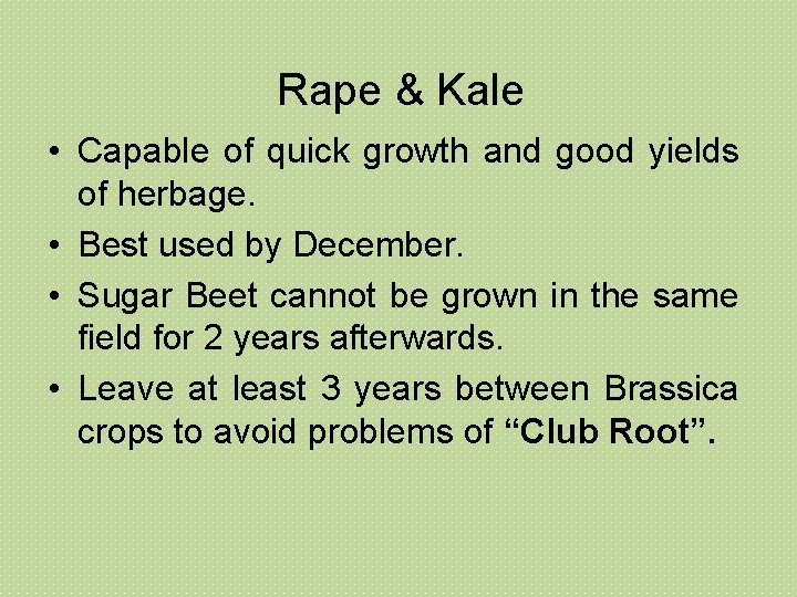 Rape & Kale • Capable of quick growth and good yields of herbage. • Rape & Kale • Capable of quick growth and good yields of herbage. •