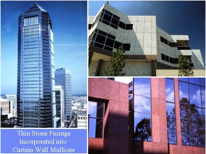 Thin Stone Facings Incorporated into Curtain Wall Mullions 