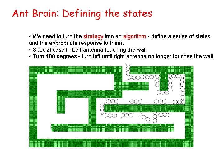Ant Brain: Defining the states • We need to turn the strategy into an