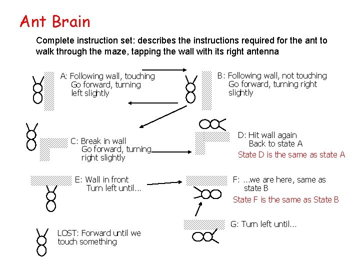 Ant Brain Complete instruction set: describes the instructions required for the ant to walk