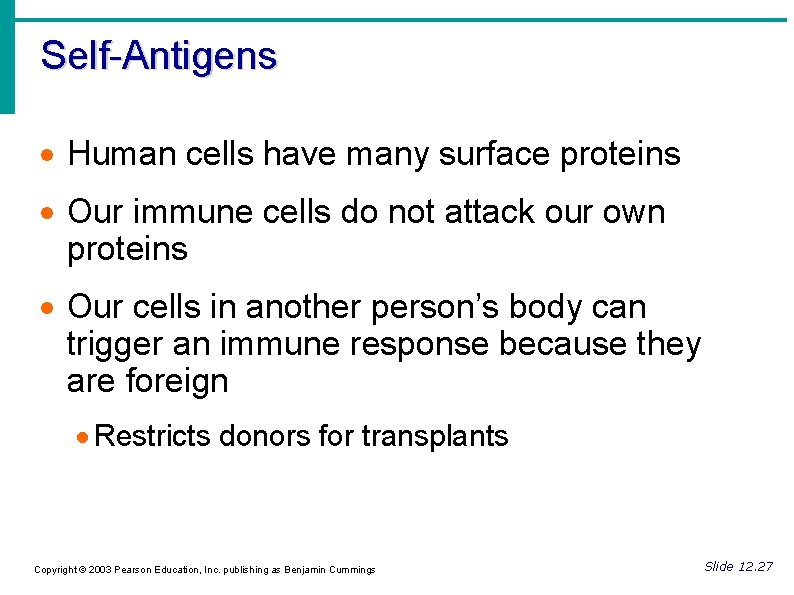 Self-Antigens Human cells have many surface proteins Our immune cells do not attack our